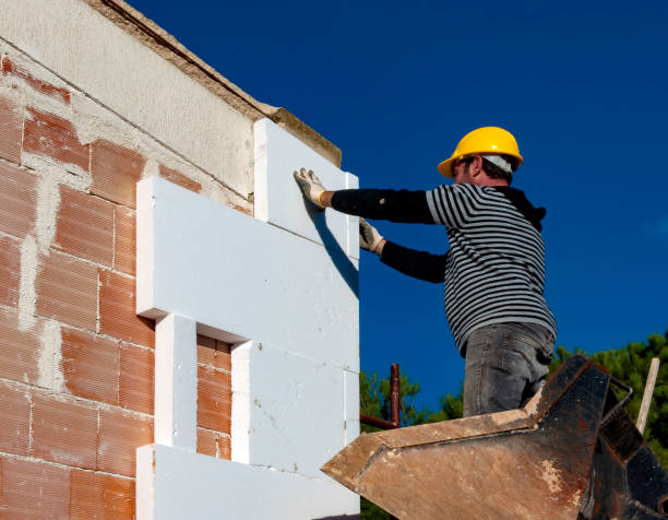 Best Insulation Inspection Services  in Belle, MO