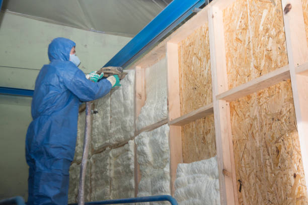 Insulation for Commercial Buildings in Belle, MO