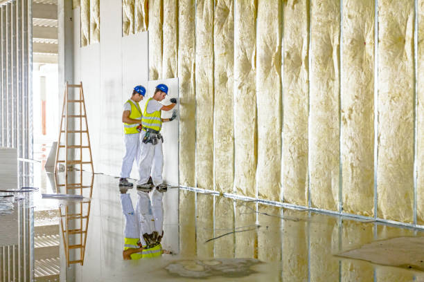 Best Insulation Contractors for Homes  in Belle, MO